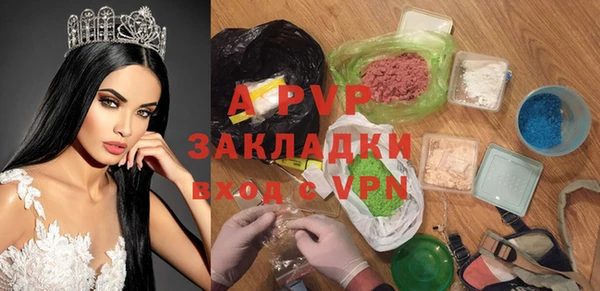 амф Липки