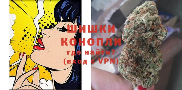амф Липки