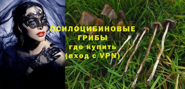 амф Липки