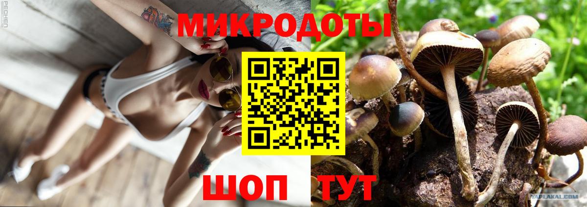 Галлюциногенные грибы ЛСД Ухта