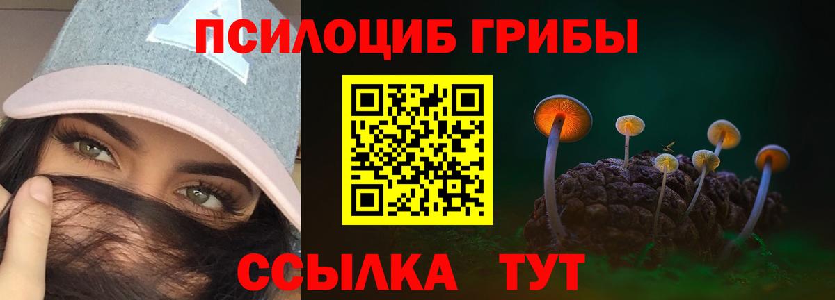Ухта  Псилоцибиновые грибы Psilocybine cubensis  Галлюциногенные грибы прущие грибы  Вход с VPN 